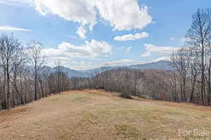 425 Rustic Ridge Dr, Canton, NC 28716 - Photo 17