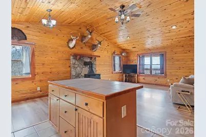 425 Rustic Ridge Drive, Canton, NC 28716 - Photo 25