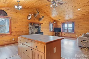 425 Rustic Ridge Dr, Canton, NC 28716 - Photo 25