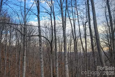 00 Upward Way #1, Waynesville, NC 28785 - Photo 7