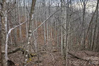 00 Upward Way #1, Waynesville, NC 28785 - Photo 9