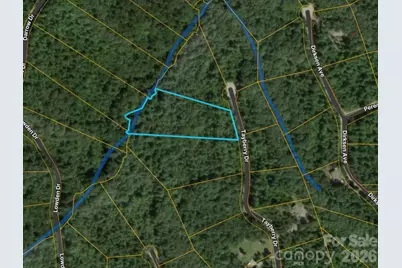 0 Tayberry Drive, Nebo, NC 28761 - Photo 1