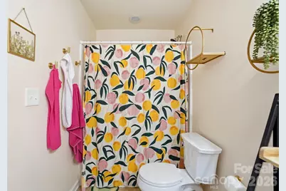 1757 Felts Parkway, Fort Mill, SC 29715 - Photo 39