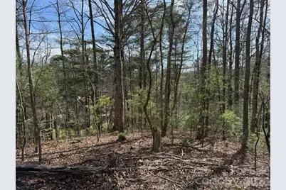 2 Frontier Court, Asheville, NC 28805 - Photo 1