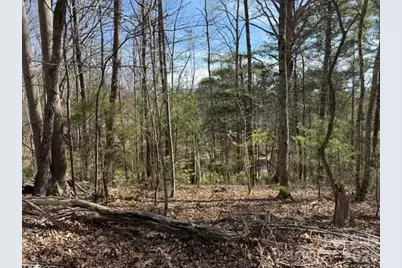 2 Frontier Court, Asheville, NC 28805 - Photo 3