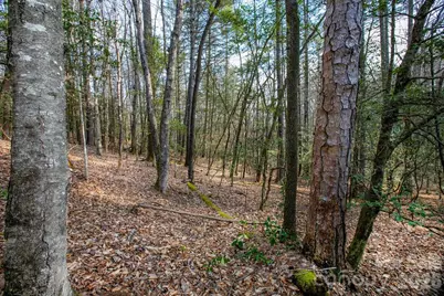 Lot 13 Deerlake Drive #13, Brevard, NC 28712 - Photo 5