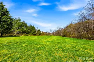 61 Rolling Hills Rd, Mills River, NC 28759 - Photo 41