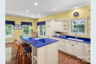 4901 Brevard Road, Horse Shoe, NC 28742 - Photo 7