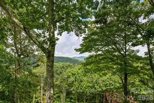 2587 Junaluska Rd, Boone, NC 28607 - Photo 45