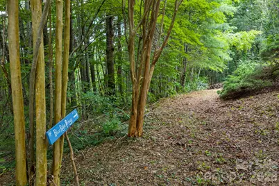 150 Avondale Ridge Road, Asheville, NC 28803 - Photo 25