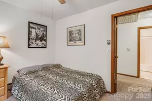 61 Spring Cove Dr, Brevard, NC 28712 - Photo 17