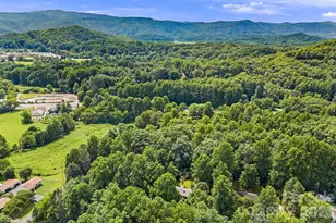 61 Spring Cove Dr, Brevard, NC 28712 - Photo 33