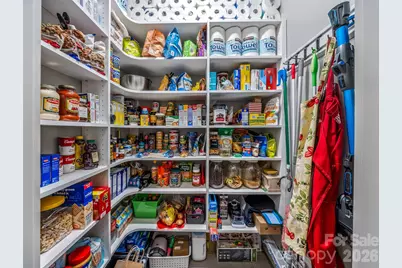 183 Sports Village Drive, Hendersonville, NC 28739 - Photo 19