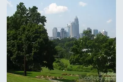 1608 N Davidson Street, Charlotte, NC 28206 - Photo 5