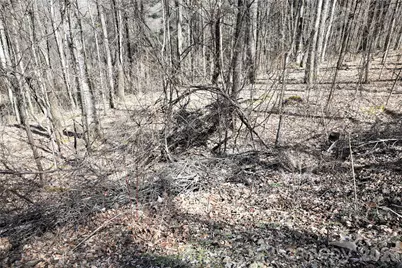 000 Curry Comb Trail #513, Waynesville, NC 28785 - Photo 5