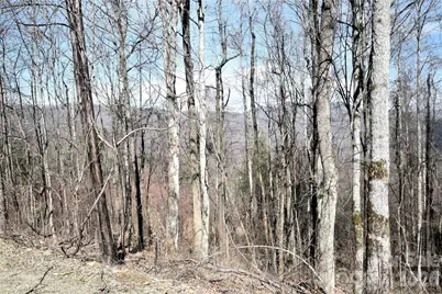 000 Curry Comb Trail #513, Waynesville, NC 28785 - Photo 3