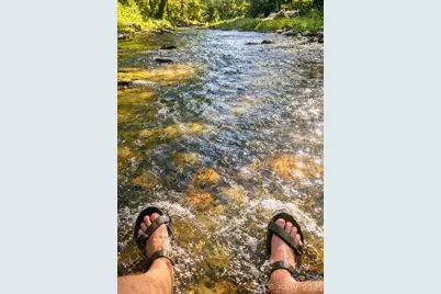 42 Rivercove Lane, Saluda, NC 28773 - Photo 19