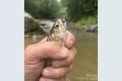 42 Rivercove Lane, Saluda, NC 28773 - Photo 25