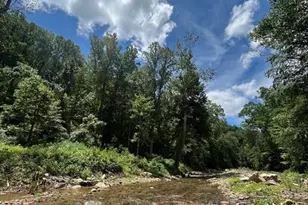 42 Rivercove Ln, Saluda, NC 28773 - Photo 27