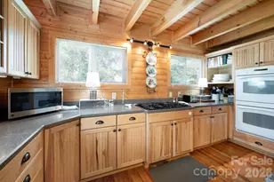 90 Jonestown Rd, Asheville, NC 28804 - Photo 17