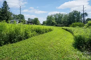 90 Jonestown Rd, Asheville, NC 28804 - Photo 43