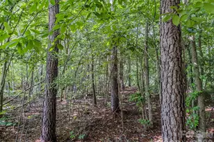 4794 Cauble Rd, Mount Pleasant, NC 28124 - Photo 13