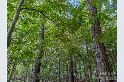 4794 Cauble Road, Mount Pleasant, NC 28124 - Photo 15