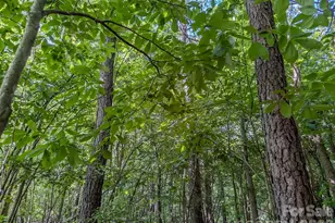 4794 Cauble Rd, Mount Pleasant, NC 28124 - Photo 15