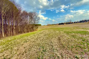 4794 Cauble Rd, Mount Pleasant, NC 28124 - Photo 3