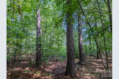 4794 Cauble Road, Mount Pleasant, NC 28124 - Photo 17