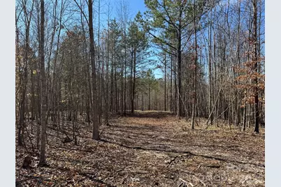 5700 Bentley Ridge Drive #12, Davidson, NC 28036 - Photo 7