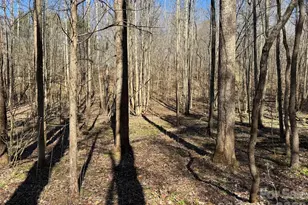 5700 Bentley Ridge Dr, Davidson, NC 28036 - Photo 13