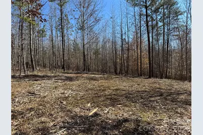 5700 Bentley Ridge Drive #12, Davidson, NC 28036 - Photo 9