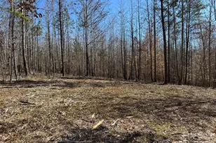 5700 Bentley Ridge Dr, Davidson, NC 28036 - Photo 9