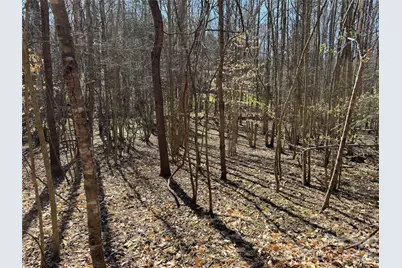 5700 Bentley Ridge Drive #12, Davidson, NC 28036 - Photo 11