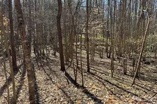 5700 Bentley Ridge Dr, Davidson, NC 28036 - Photo 11