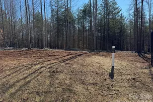 5700 Bentley Ridge Dr, Davidson, NC 28036 - Photo 3