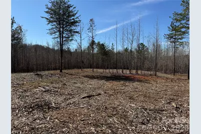 5700 Bentley Ridge Drive #12, Davidson, NC 28036 - Photo 5