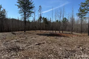 5700 Bentley Ridge Dr, Davidson, NC 28036 - Photo 5