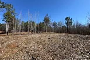 5700 Bentley Ridge Dr, Davidson, NC 28036 - Photo 15