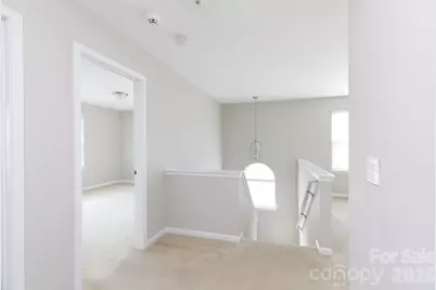 465 Clouds Way, Rock Hill, SC 29732 - Photo 19