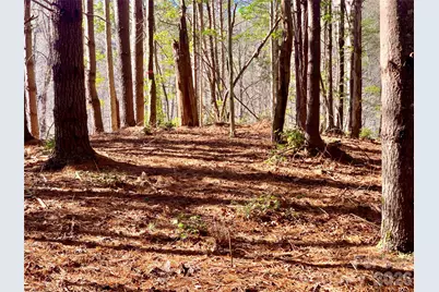 6129 Painted Ridge Trail #Lot 739, Lenoir, NC 28645 - Photo 11