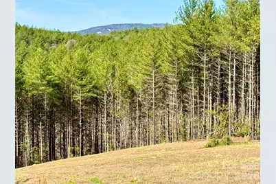 6129 Painted Ridge Trail #Lot 739, Lenoir, NC 28645 - Photo 9