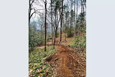 105 Marble Drive, Sylva, NC 28779 - Photo 11