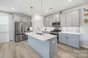 15116 Caspian Wy, Charlotte, NC 28278 - Photo 7