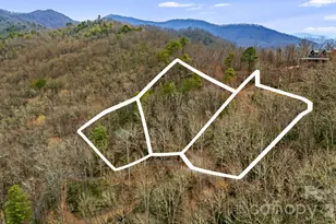 157 Crosspatch Ln, Bryson City, NC 28713 - Photo 3