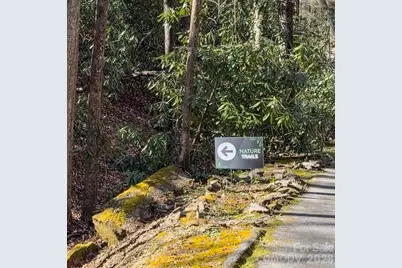 1270 Glen Cannon Drive, Pisgah Forest, NC 28768 - Photo 5