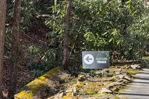 1270 Glen Cannon Dr, Pisgah Forest, NC 28768 - Photo 5