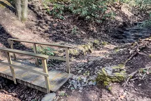 1270 Glen Cannon Dr, Pisgah Forest, NC 28768 - Photo 7