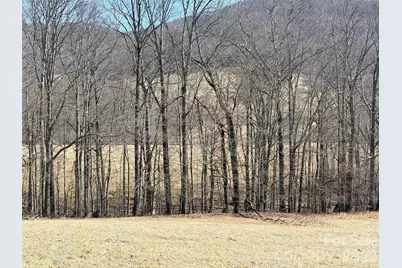 Lot 1 Elk Creek Mountain Parkway, Todd, NC 28684 - Photo 19